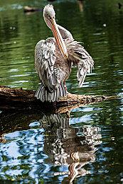 EA批评日本评级组织拒绝《死亡空间》 却给《星刃》开绿灯